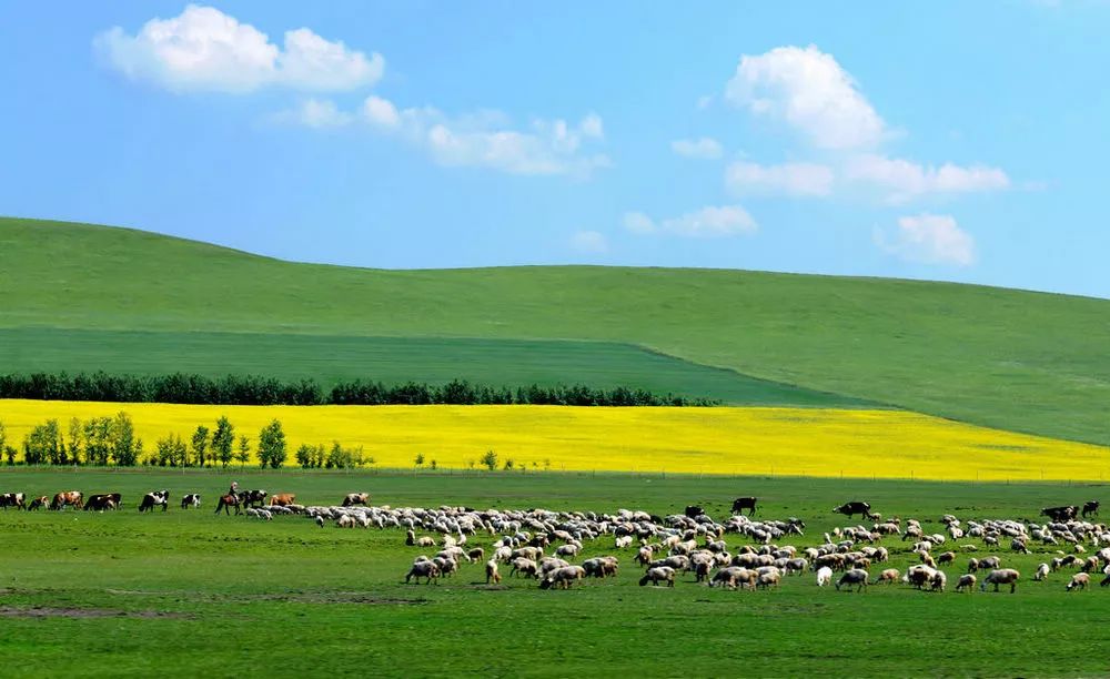 穿越内蒙古,草原自信之旅