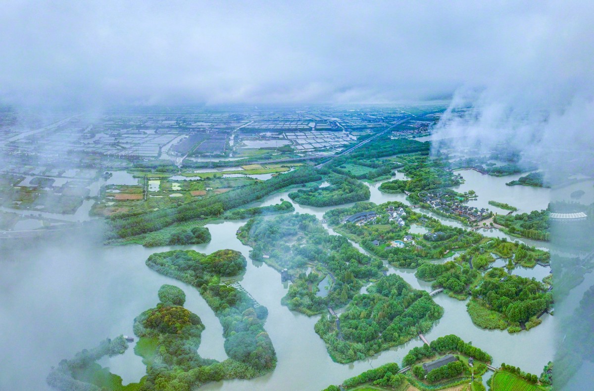 江苏绿色崛起,创新驱动引领高质量发展新篇章
