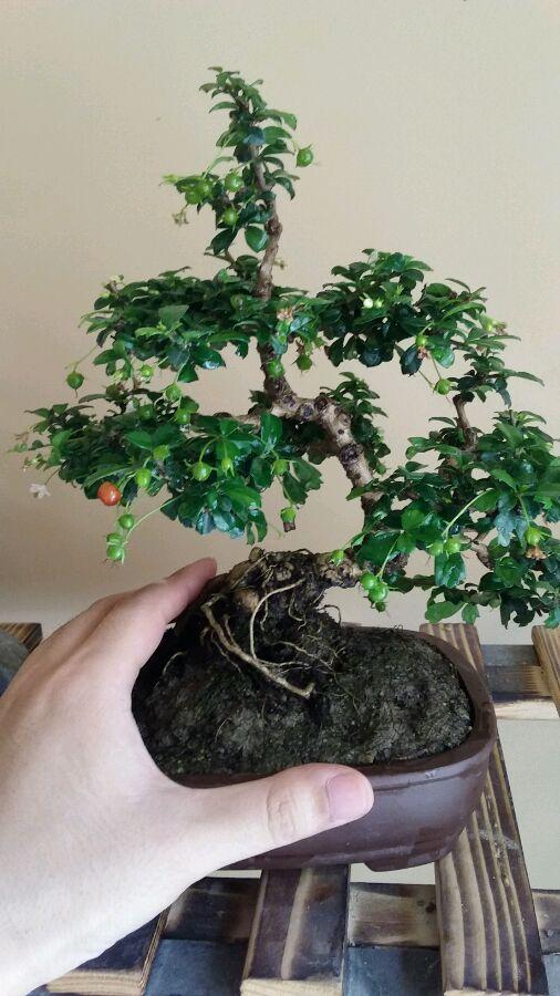 福建，致敬亲爱的听众朋友们