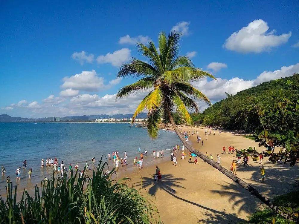 海南,阳光沙滩的浪漫之旅🌴🌊🌺