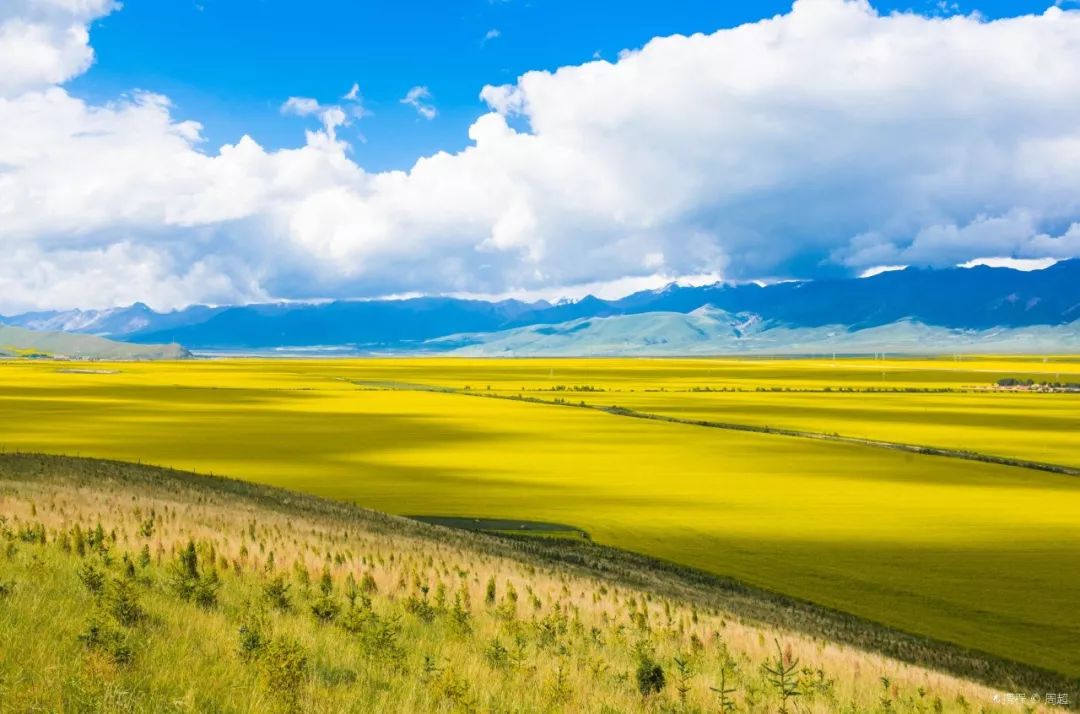 时光巷弄,青海深处的一家记忆印记