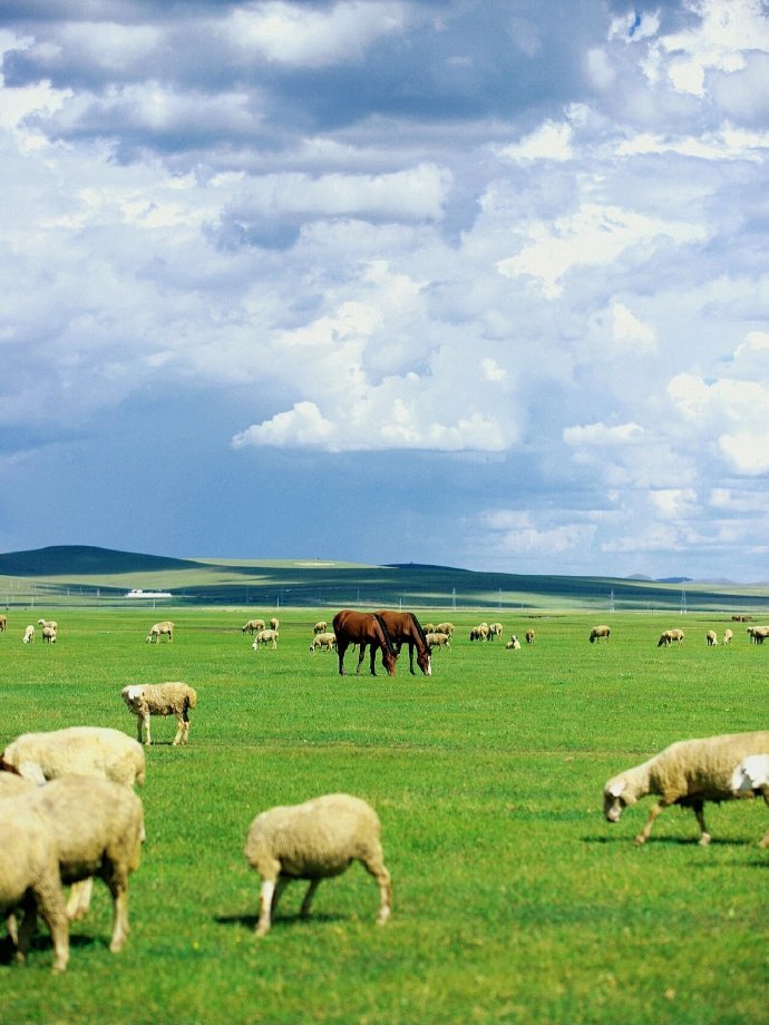 呼伦贝尔，草原生态与民族文化的交融共生探究